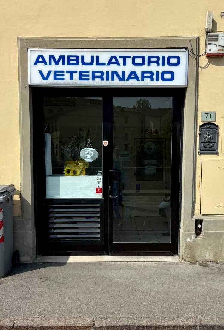 Ambulatorio Veterinario